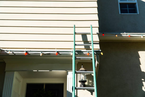 Best Custom Siding Design  in Highland Park, NJ